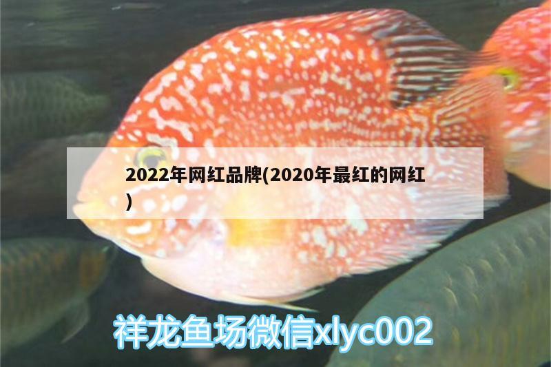 2022年网红品牌(2020年最红的网红)