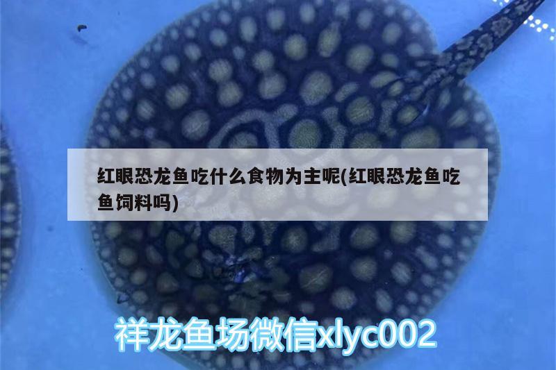 鱼缸水消毒用什么消毒剂好（鱼缸用什么消毒最好） 皇冠黑白魟鱼 第2张