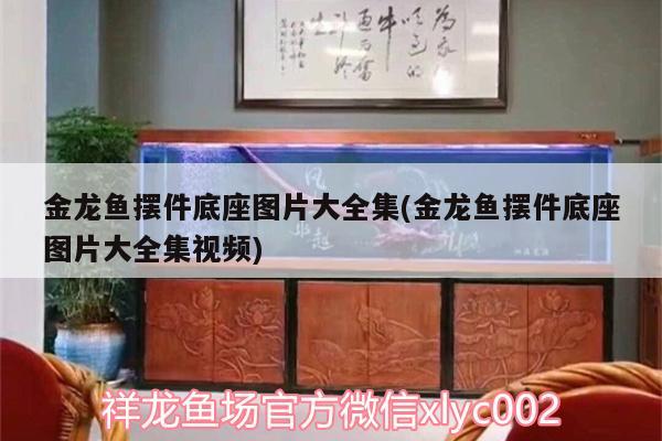 金龙鱼摆件底座图片大全集(金龙鱼摆件底座图片大全集视频) 祥龙水族滤材/器材