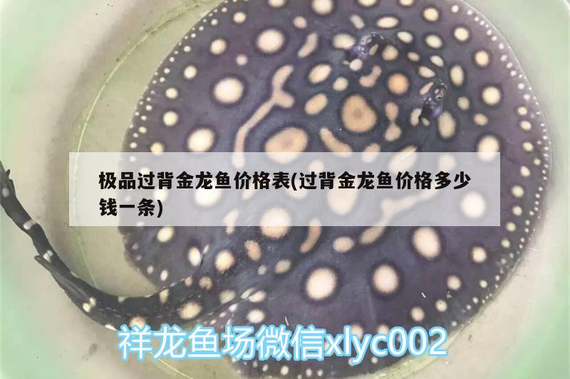 极品过背金龙鱼价格表(过背金龙鱼价格多少钱一条) 过背金龙鱼