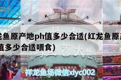 红龙鱼原产地ph值多少合适(红龙鱼原产地ph值多少合适喂食)