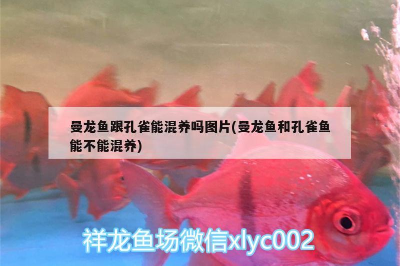 富源古敢水族乡小胡百货店——传承水族文化，云南富源古敢水族乡小胡百货店——传承水族文化