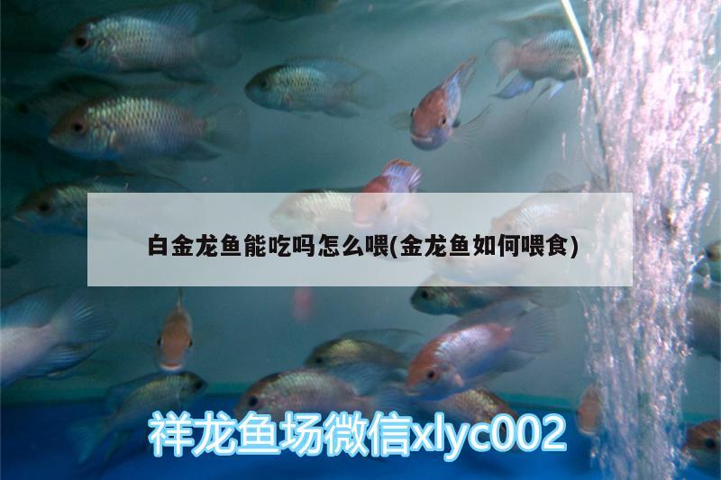 吉安县水族鱼缸厂家联系电话：寻找高品质水族鱼缸的首选，吉安县水族鱼缸厂家联系电话：寻找高品质水族鱼缸的首选