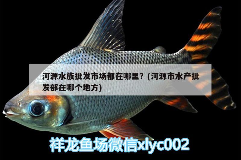 河源水族批发市场都在哪里？(河源市水产批发部在哪个地方) 观赏鱼水族批发市场 第1张