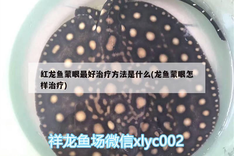 红龙鱼蒙眼最好治疗方法是什么(龙鱼蒙眼怎样治疗) 水族维护服务（上门）