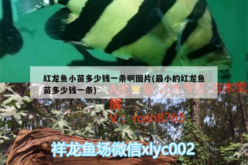 湖州鱼缸安装师傅电话号码多少号(湖州鱼缸安装师傅电话号码多少号啊)