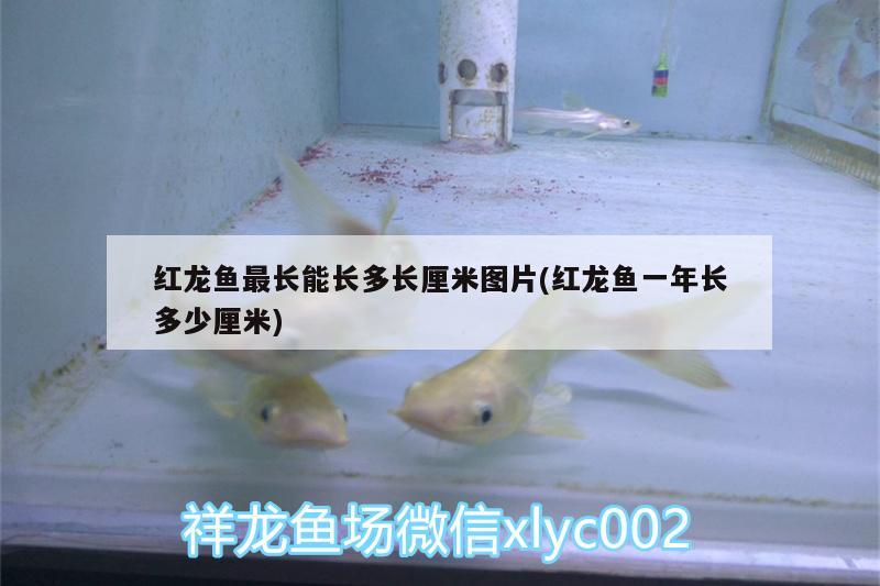 黔西南布依族苗族自治州哪里有水族馆（去贵州旅游最值得推荐的10个地方有哪些）