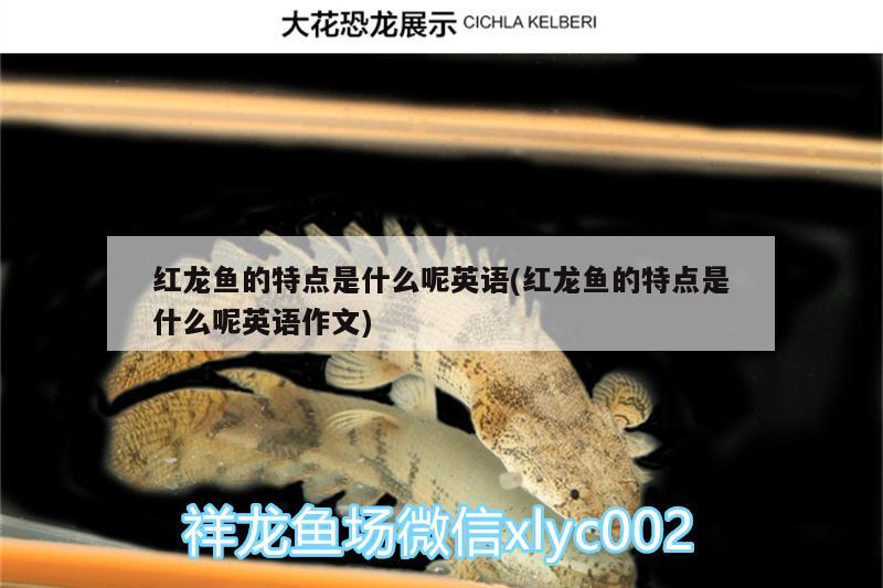 白银水族馆想翻缸骨架不变