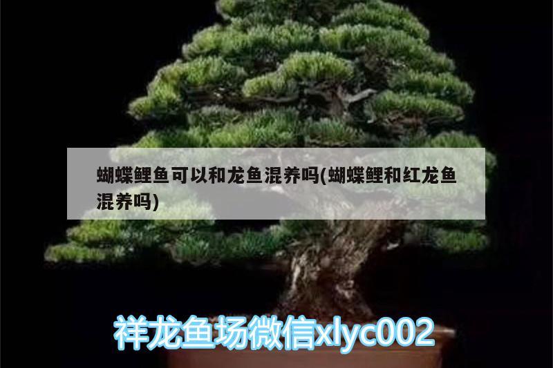 伊罕过滤桶机头拆解图片大全：伊罕过滤桶怎么进水 伊罕水族 第1张