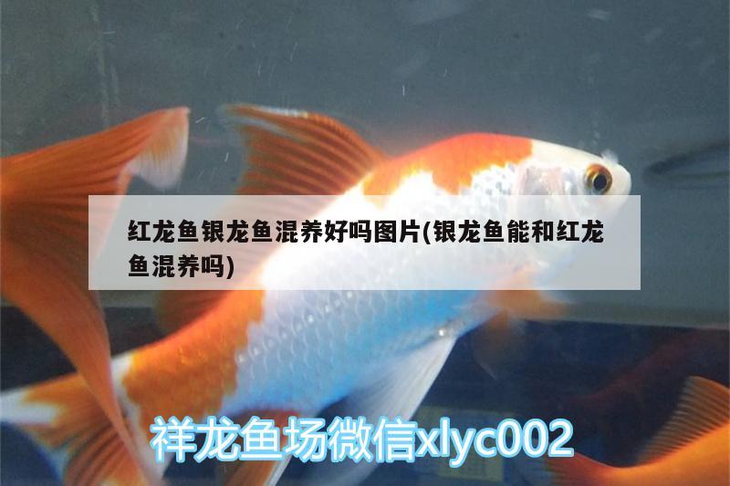 2023水族展会(2020年中国水族馆展会)