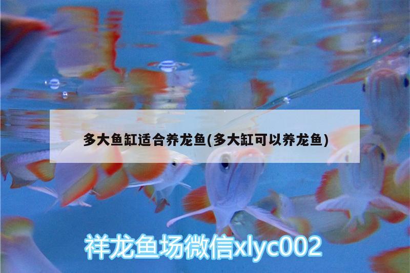 郑州哪里有水族馆?（郑州哪个水族馆好玩） 养鱼的好处 第2张