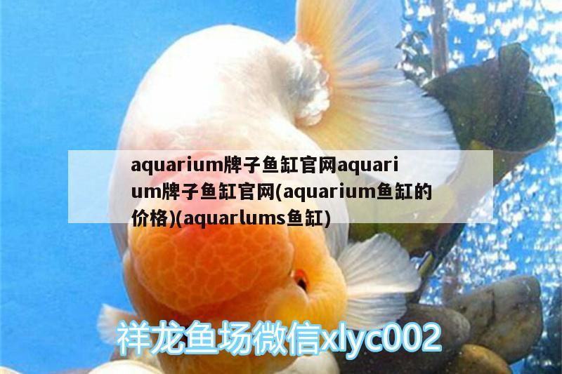 aquarium牌子鱼缸官网aquarium牌子鱼缸官网(aquarium鱼缸的价格)(aquarlums鱼缸)