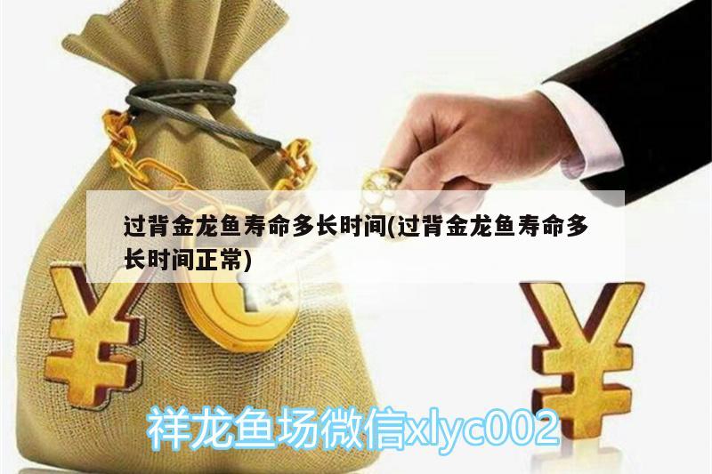 过背金龙鱼寿命多长时间(过背金龙鱼寿命多长时间正常)