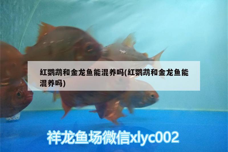 北京魏辉江水族店