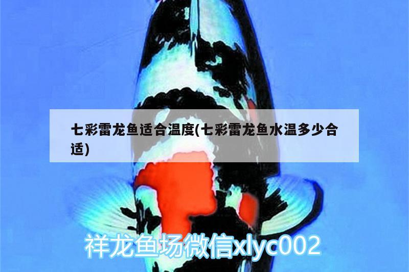 七彩雷龙鱼适合温度(七彩雷龙鱼水温多少合适) B级过背金龙鱼