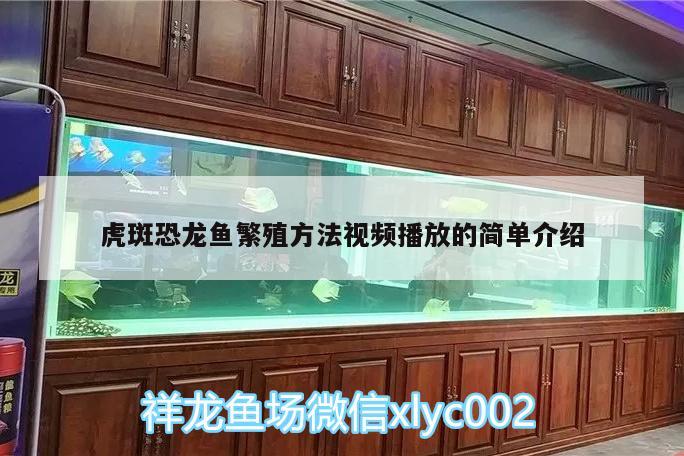 生鱼是什么鱼是淡水鱼吗 水族用品 第2张