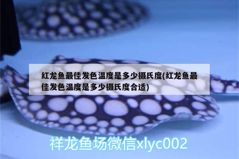 北京山湖草堂水族用品店 全国水族馆企业名录 第3张
