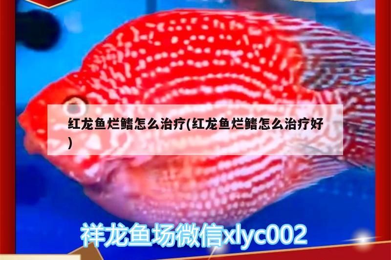 青岛市市北区索浦经典水族用品店