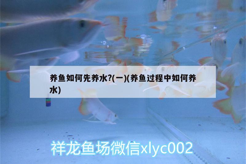 金龙鱼侧灯位置摆放（金龙鱼顶灯怎么摆放） 水族灯（鱼缸灯） 第2张