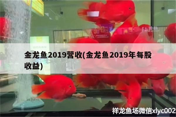 金龙鱼2019营收(金龙鱼2019年每股收益)