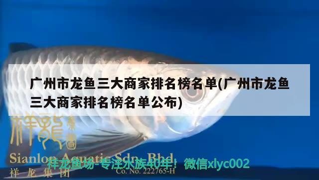 广州市龙鱼三大商家排名榜名单(广州市龙鱼三大商家排名榜名单公布) 马拉莫宝石鱼苗