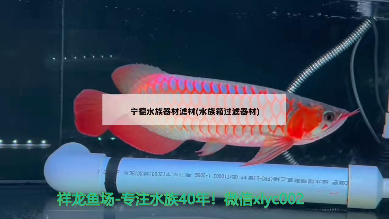 宁德水族器材滤材(水族箱过滤器材) 鱼缸/水族箱