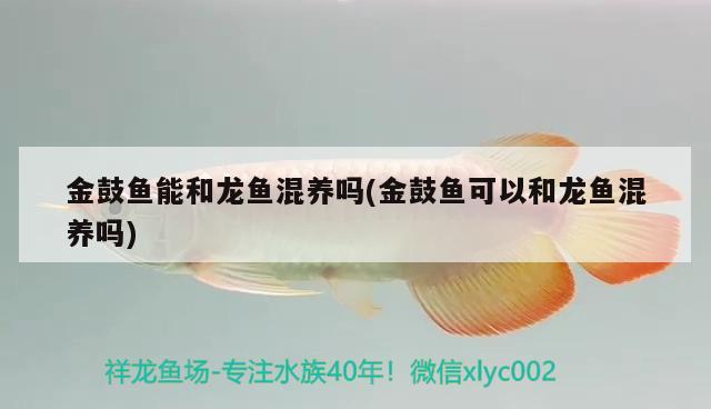 舟山水族批发市场都在哪里？（舟山水族批发市场都在哪里进货） 养鱼知识 第3张