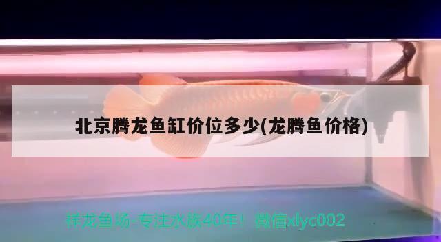 广州观赏鱼进出口贸易公司排名榜前十：广州水族展2023哪里预约 水族展会 第2张