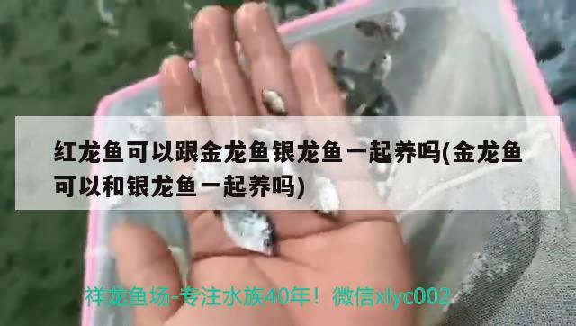 汽车在保养店保养一周后，发动机出了问题。我该如何索赔，长2.5米宽0.61米鱼缸养什么鱼