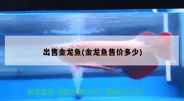 鱼缸品牌排行前十的是：鱼缸知名品牌 水族维护服务（上门） 第3张