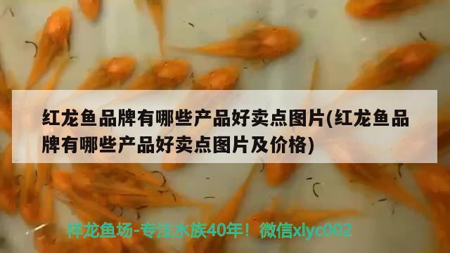 金龙鱼生产厂家在哪？，岳阳金龙鱼总经销地址 冲氧泵 第3张