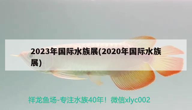 2023年国际水族展(2020年国际水族展)