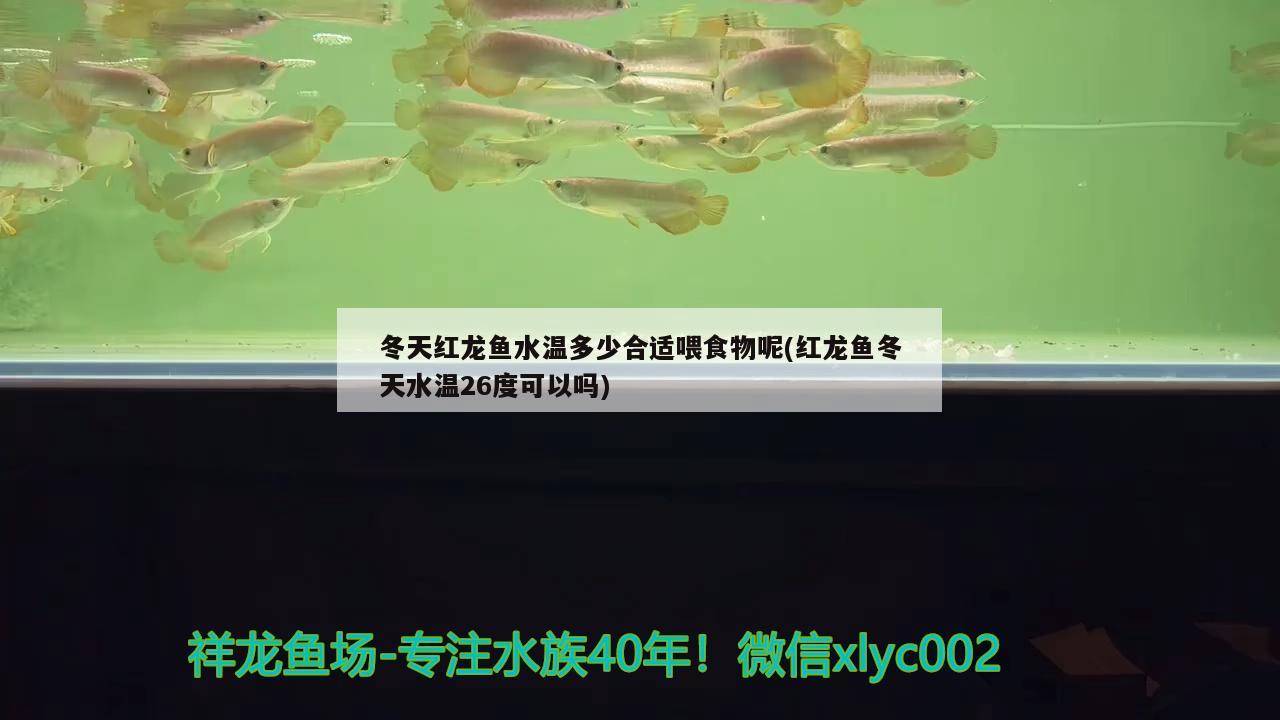 一米八的鱼缸适合的过滤器尺寸，一米八的鱼缸用多大过滤器选择过滤器的工作原理 大嘴鲸鱼 第2张