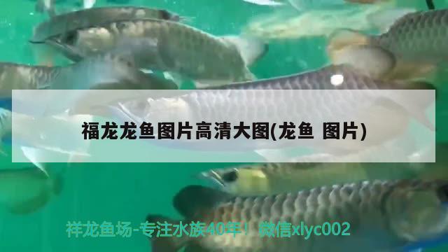 昆明市五华区佳沁水族店 全国水族馆企业名录 第3张