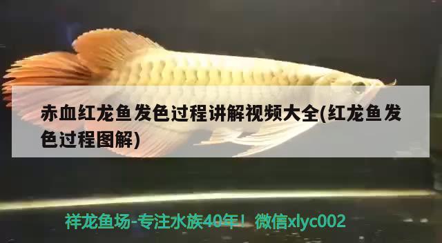 新乡市装修网，河南水族箱哪家的质量好 鱼缸/水族箱 第1张