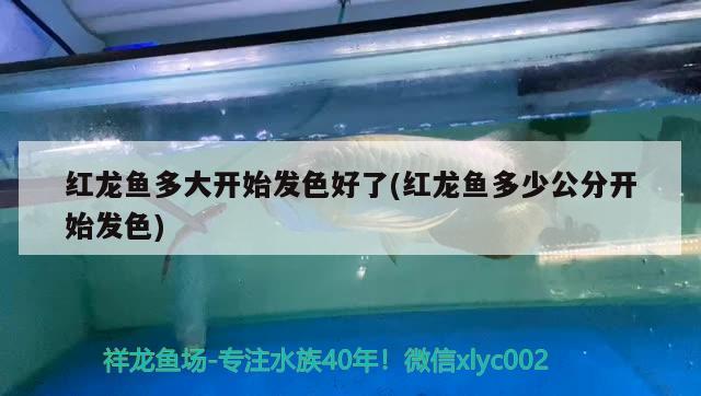 长春哪里有水族馆长春水族馆长春水族馆长春水族馆长春水族馆，长春哪里有水族馆