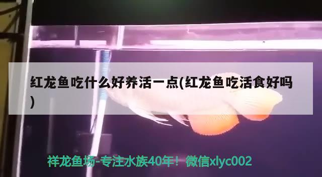 鱼缸换气装置原理视频(鱼缸换气装置原理视频教程) 肥料 第2张