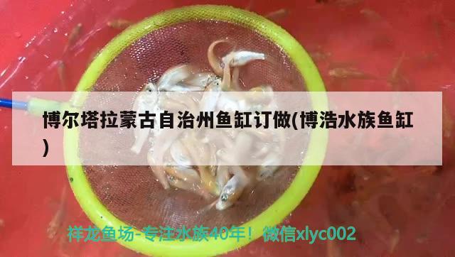 博尔塔拉蒙古自治州鱼缸订做(博浩水族鱼缸)