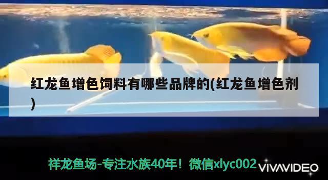 鱼缸出水怎么加氧气：鱼缸里的水怎么增加氧气 广州水族批发市场 第3张