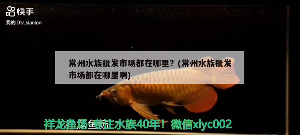 常州水族批发市场都在哪里？(常州水族批发市场都在哪里啊)