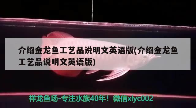 介绍金龙鱼工艺品说明文英语版(介绍金龙鱼工艺品说明文英语版) 熊猫异形鱼L46