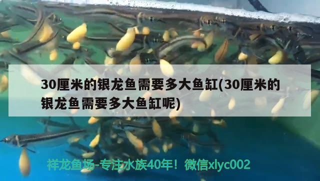 南宁市景寓水族用品店 全国水族馆企业名录 第1张