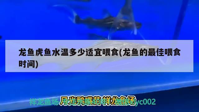 深圳市福田区海滨水族馆（深圳市福田区海滨水族馆地址）