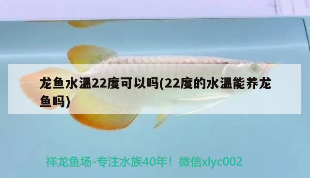 龙鱼水温22度可以吗(22度的水温能养龙鱼吗)