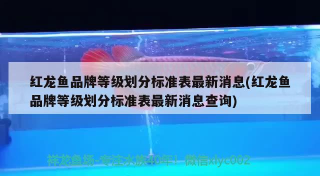 老榆木仿古花架价格行情有谁了解过，洛阳哪里卖的鱼缸不会漏水 养鱼的好处 第1张