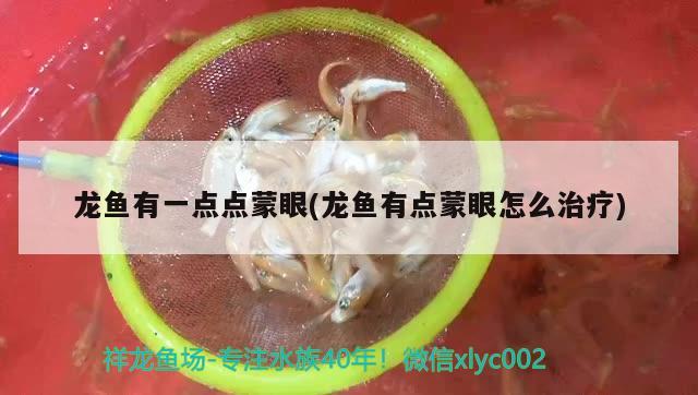 龙鱼有一点点蒙眼(龙鱼有点蒙眼怎么治疗) 鱼缸风水 第1张