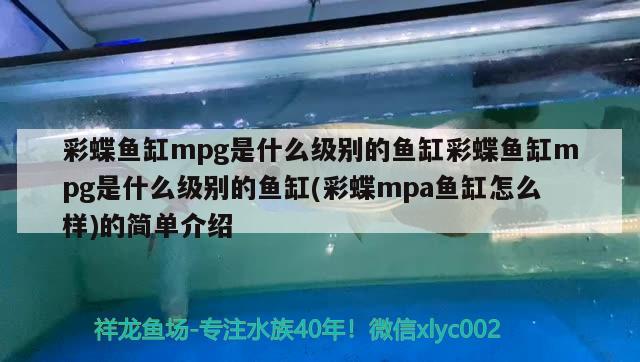 彩蝶鱼缸mpg是什么级别的鱼缸彩蝶鱼缸mpg是什么级别的鱼缸(彩蝶mpa鱼缸怎么样)的简单介绍