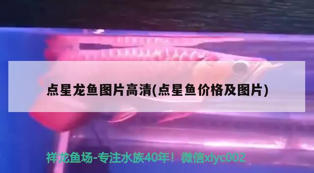 巨暴鱼资料（巨暴鱼凶猛吗） 水族维护服务（上门） 第3张