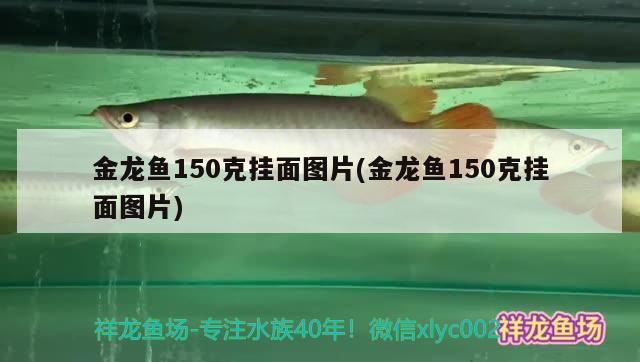 金龙鱼150克挂面图片(金龙鱼150克挂面图片)