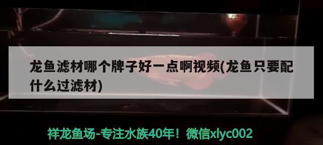 鱼缸氧气头堵了怎么清洗 鱼缸氧气不出气怎么处理 养鱼的好处 第2张